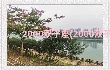 2000双子座(2000双子座男)