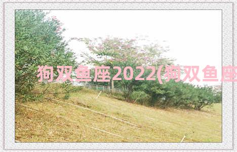 狗双鱼座2022(狗双鱼座女生)